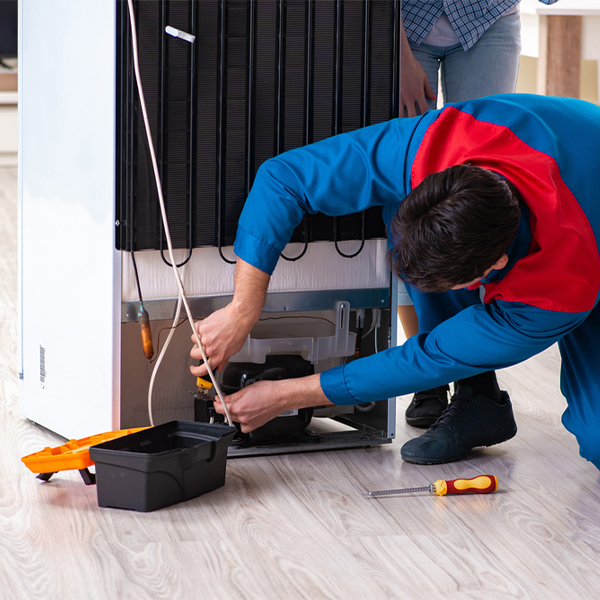 what are the common refrigerator repair services in Cummings